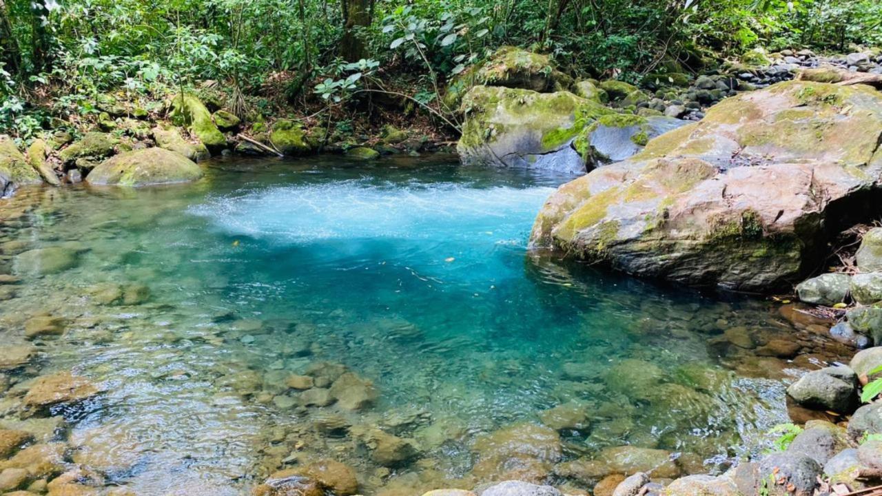 Blue River Resort & Hot Springs Rincon de la Vieja Eksteriør billede