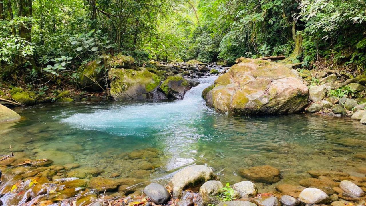 Blue River Resort & Hot Springs Rincon de la Vieja Eksteriør billede