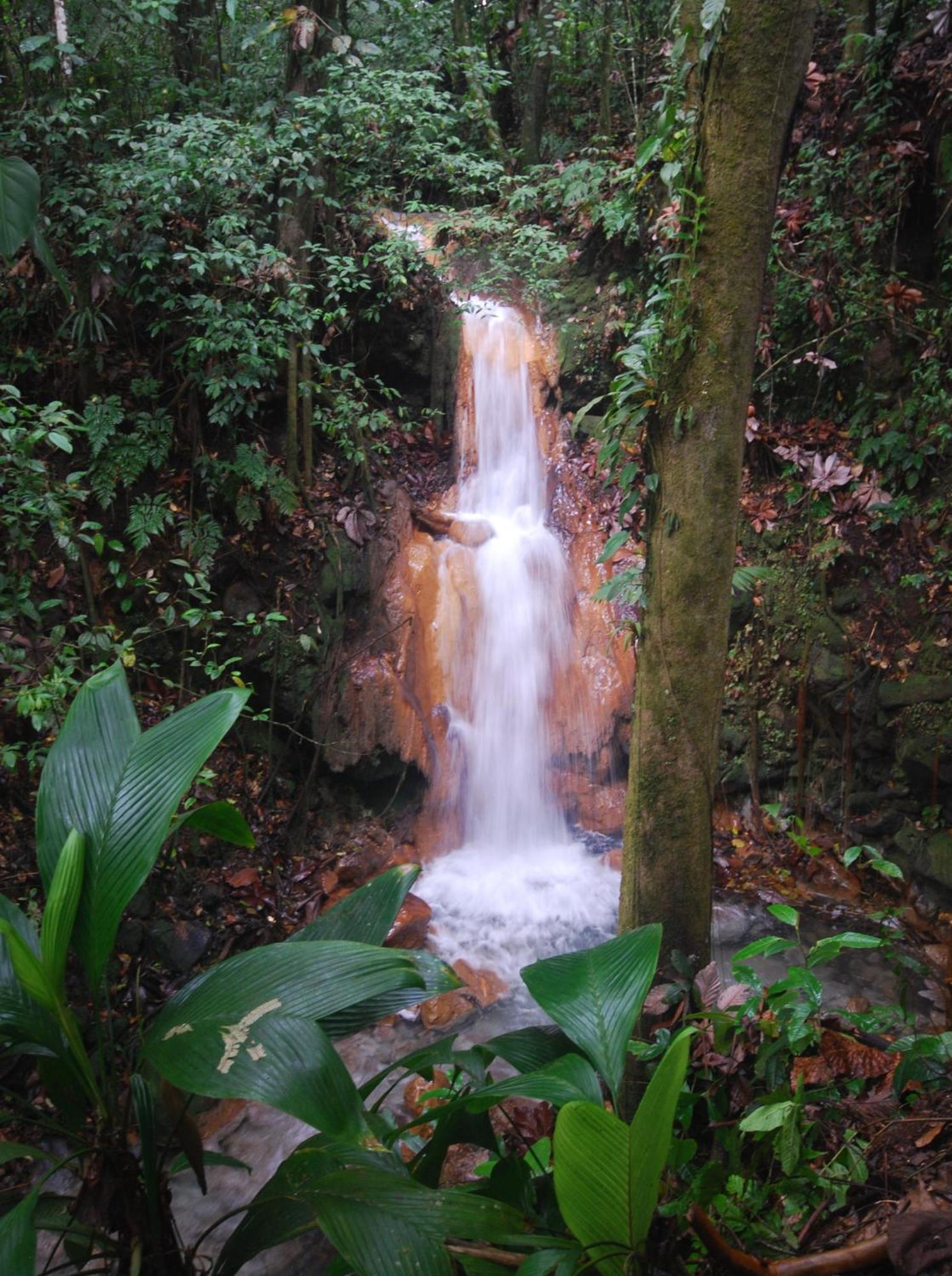 Blue River Resort & Hot Springs Liberia Eksteriør billede