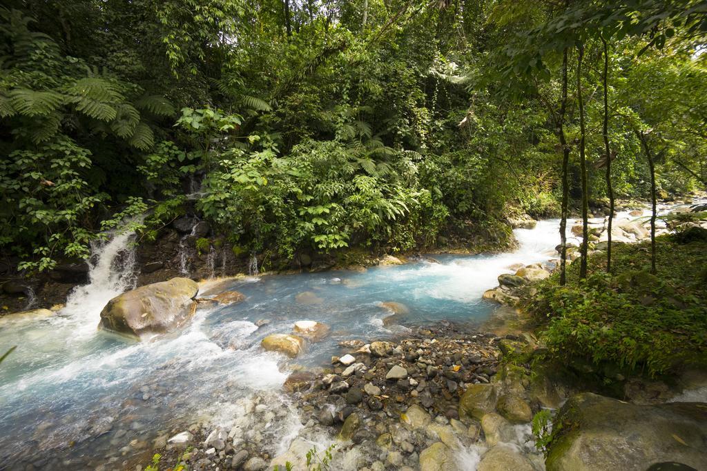 Blue River Resort & Hot Springs Rincon de la Vieja Eksteriør billede