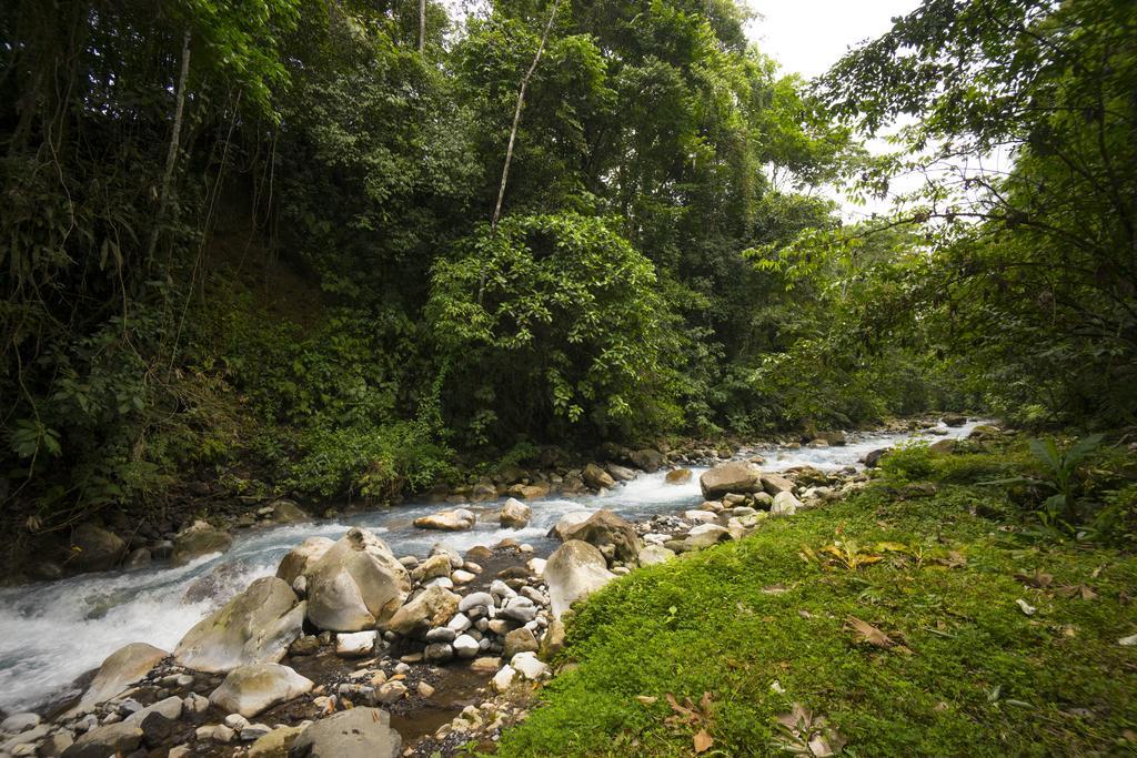 Blue River Resort & Hot Springs Liberia Eksteriør billede