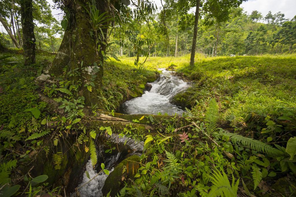 Blue River Resort & Hot Springs Liberia Eksteriør billede