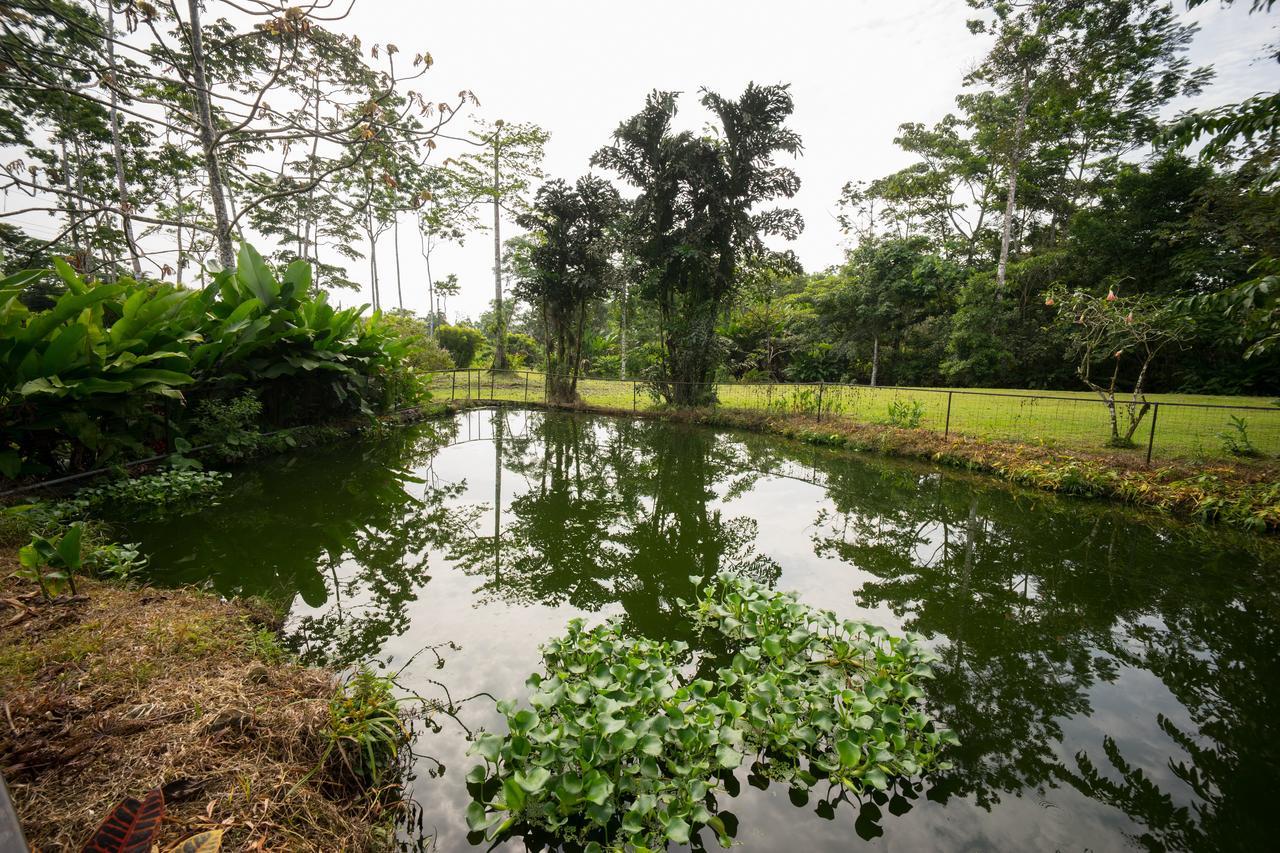 Blue River Resort & Hot Springs Liberia Eksteriør billede